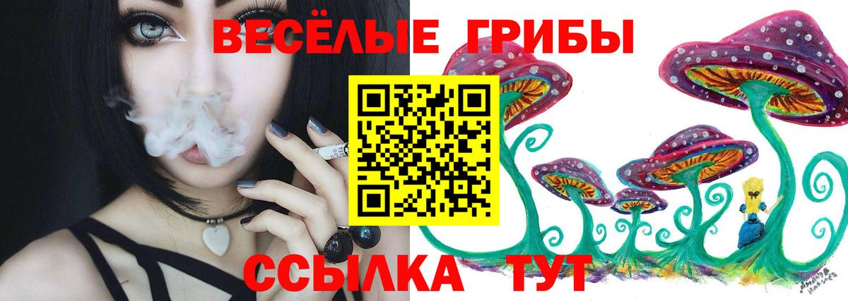 Псилоцибиновые грибы Psilocybine cubensis  Вход с VPN  Сунжа 